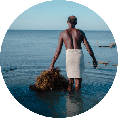 Person with red algae